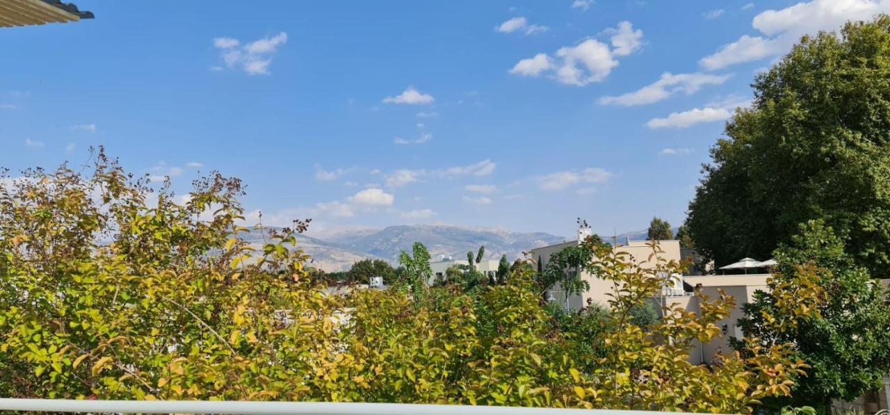 קסם של אירוח Διαμέρισμα Hagoshrim Εξωτερικό φωτογραφία
